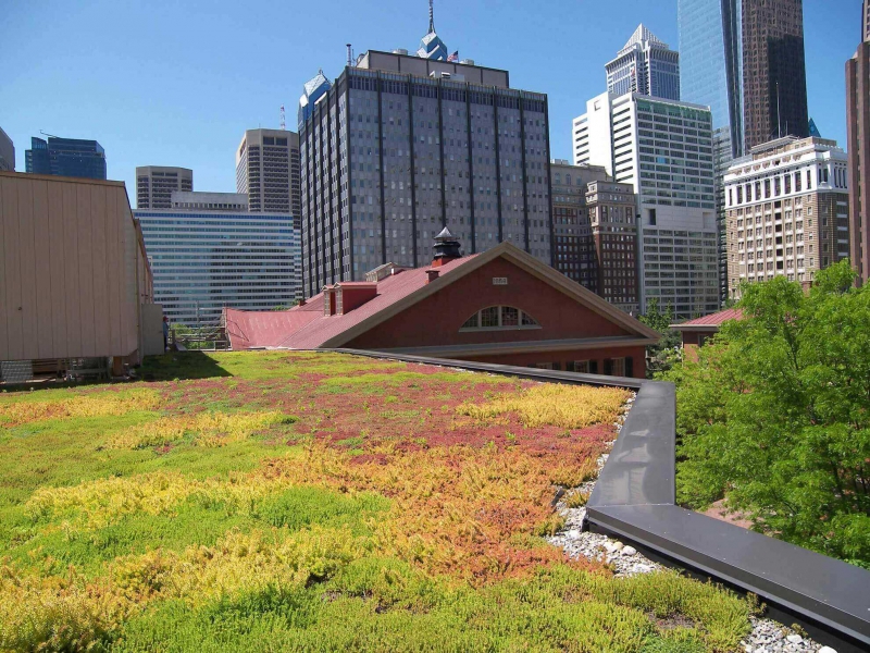 paysagiste-ANDON-min_green-roof-portfolio-4